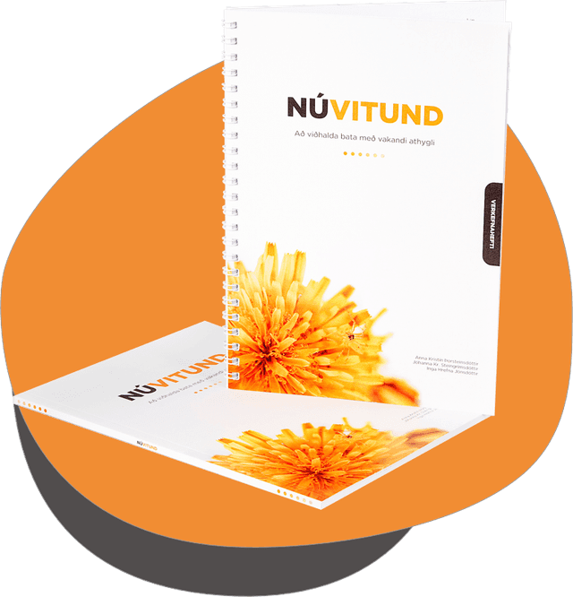 Núvitund — lesbók og verkefnahefti